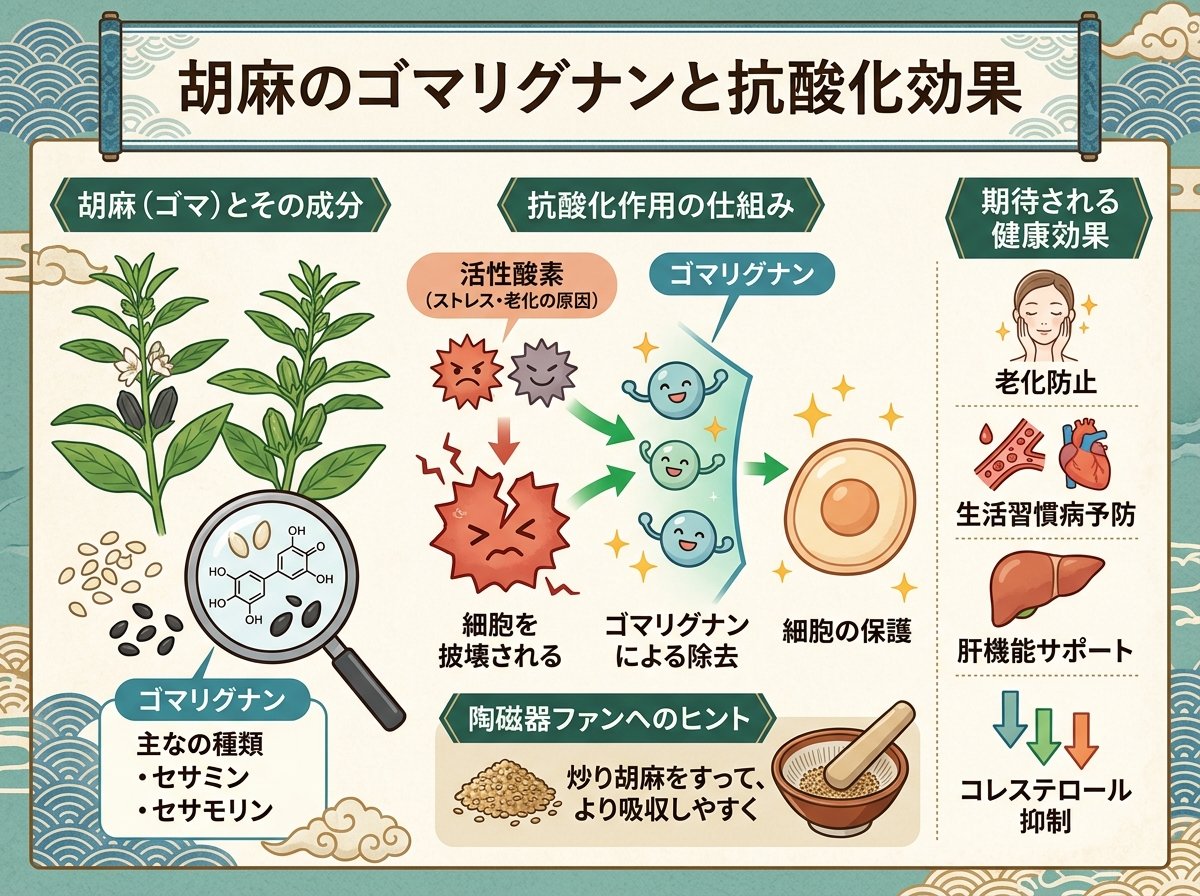 胡麻のゴマリグナンと抗酸化効果